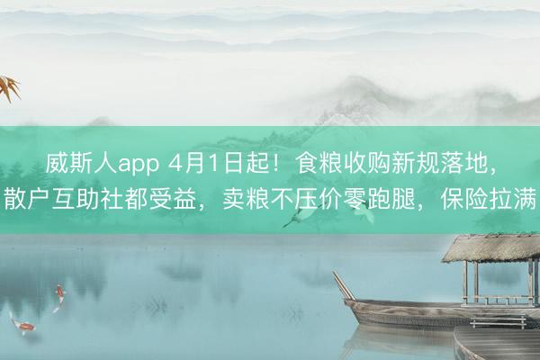 威斯人app 4月1日起!食粮收购新规落地,散户互助社都受益,卖粮不压价零跑腿,保险拉满