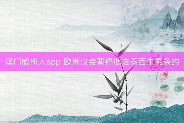 澳门威斯人app 欧洲议会暂停批准泰西生意条约