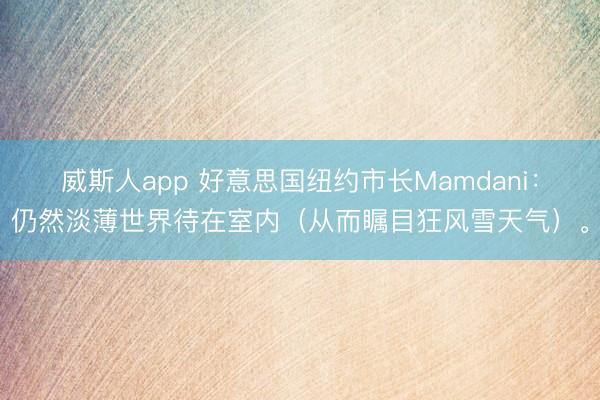 威斯人app 好意思国纽约市长Mamdani：仍然淡薄世界待在室内（从而瞩目狂风雪天气）。