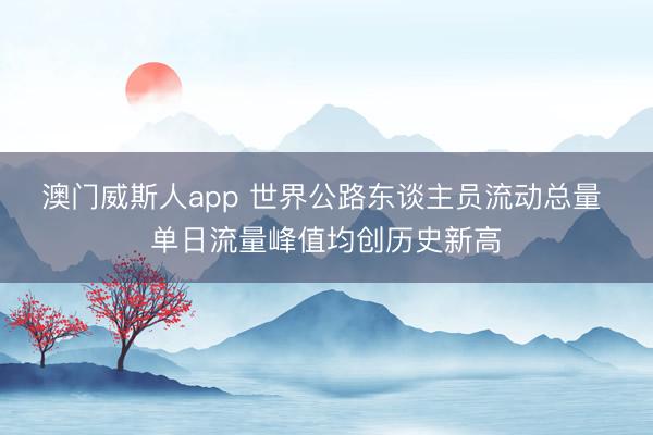 澳门威斯人app 世界公路东谈主员流动总量 单日流量峰值均创历史新高