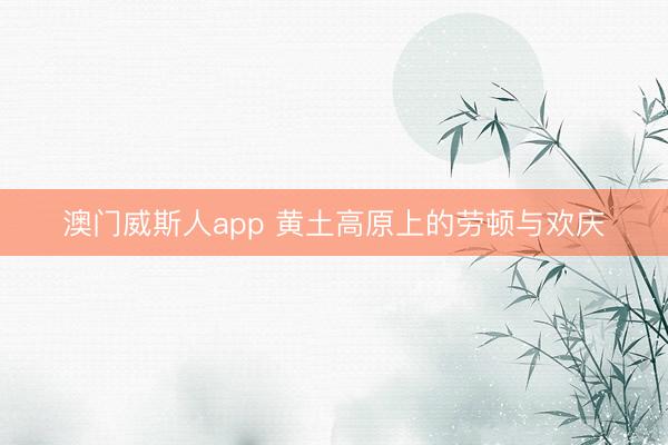 澳门威斯人app 黄土高原上的劳顿与欢庆