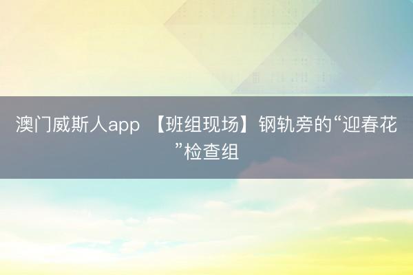 澳门威斯人app 【班组现场】钢轨旁的“迎春花”检查组