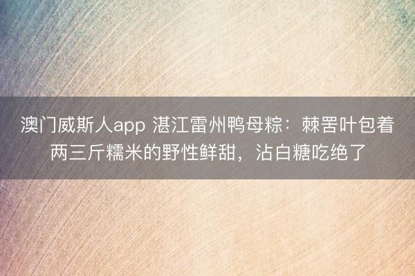 澳门威斯人app 湛江雷州鸭母粽：棘罟叶包着两三斤糯米的野性鲜甜，沾白糖吃绝了